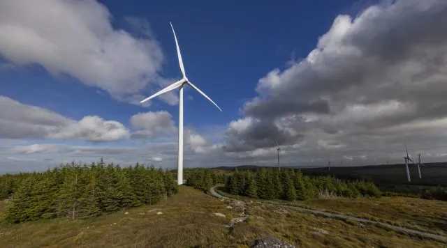 Wind turbines in forested area